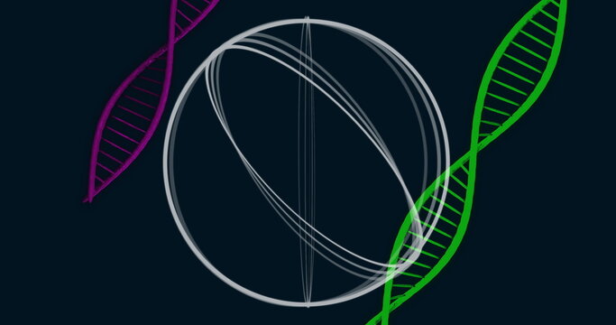 Floating grey wireframe sphere rotating in dark illustration, with magenta and green DNA helices