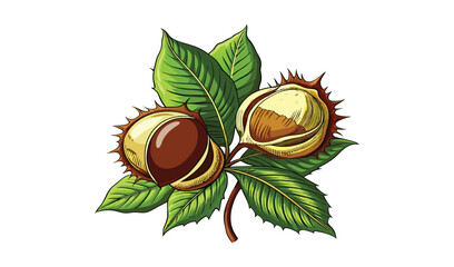 Hand drawn illustration of chestnuts with leaves