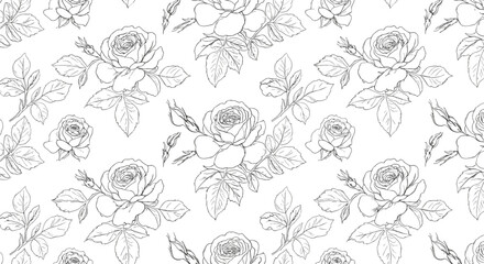 Floral pattern of hand-drawn roses on white background  