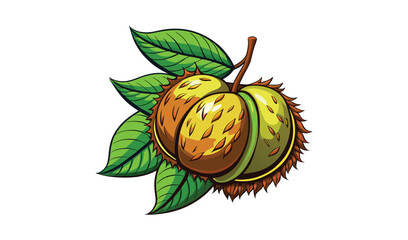 Opened chestnut with green leaves illustration
