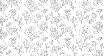 Floral pattern illustration with hand-drawn flowers on white background  