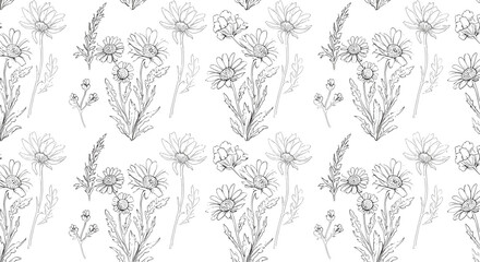 Floral pattern sketch of wildflowers on white background  
