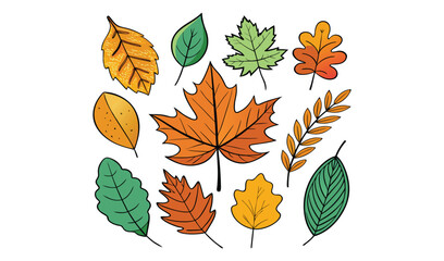 Collection of autumn leaves hand drawn illustration