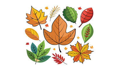 Autumn leaves collection colorful fall foliage