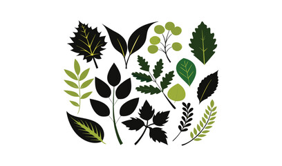 Collection of various green and black leaves