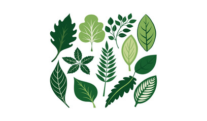 Collection of green leaves in a circular arrangement