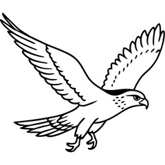 Obraz premium Gliding Hawk Silhouette Vector