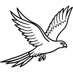 Obraz premium Gliding Hawk Silhouette Vector