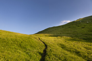 lonely hiking trail leading up on a grassy hill under a clear sky. minimalistic nature. clear...