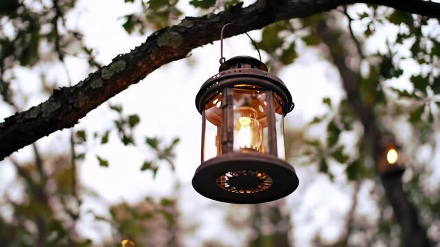Vintage lantern hanging from a tree branch in outdoor setting