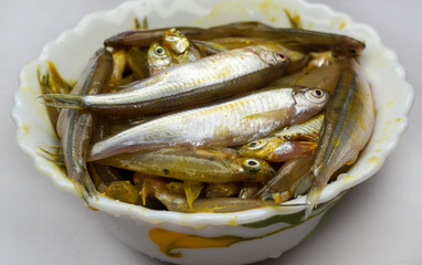 Smelt. Fresh raw small fish in a white bowl on a white background. A bowl of small fish, before frying, Selective focus, top view
