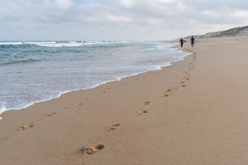 Traces of surfers strolling along a wild beach in Les Landes