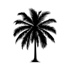 Palm Tree Silhouette: A stark silhouette of a stately palm tree, its fronds gracefully spread against the backdrop, conveying tropical tranquility and exotic beauty.