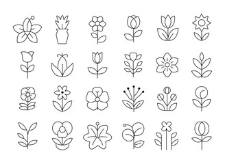 Flowers line icon set.editable stroke line  various flower species - azalea, anemone,  lily, orchid, hydrangea, lavender, thin linear illustration.