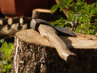 Old Axe with Wooden Handle Resting on a Tree Stump