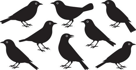 Silhouette Set of Birds Standing in Different Poses – Black Vector Icons