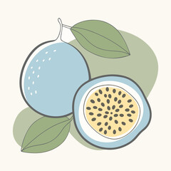 Simple Passion Fruit Silhouettes Whole and Half Cut Vector Graphics