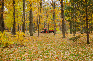A red tractor is driving in the autumn park
