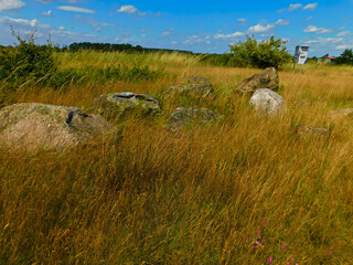 Findlinge der letzten Eiszeit im Findlingsgarten