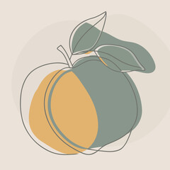 Natural Peach Silhouette Vector Illustration with Stem