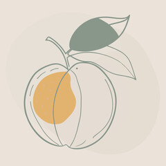 Silhouette of a Peach with Stem Natural Curve Line Art