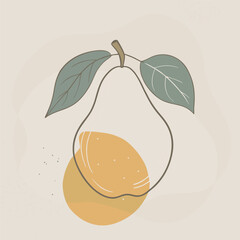 Flat Vector Quince Fruit Silhouette Square Rounded Design