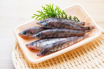 メヒカリ　深海魚