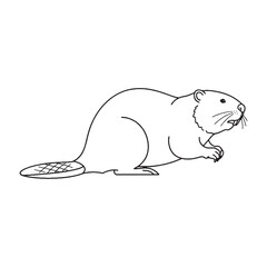 Deepest Beaver Resilience Capacity - Beaver vector - Beaver Line art - Beaver Drawing - Vector Lineart of Beaver - Beaver icon - its enduring hardy unchanging soul

