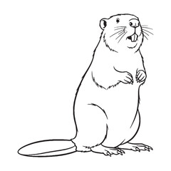 Crucial Beaver Rare Trait Cadence - Beaver vector - Beaver Line art - Beaver Drawing - Vector Lineart of Beaver - Beaver illustration - specific inherent visual characteristic

