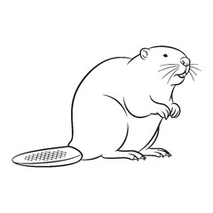 Complex Beaver Body Anatomy Blueprint - Beaver vector - Beaver Line art - Beaver Drawing - Vector Lineart of Beaver - Beaver icon - its powerful intricate skeletal framework

