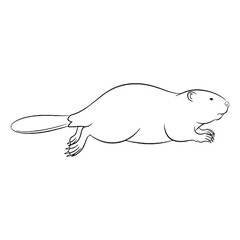 Unique Castorid Being Attribute Value - Beaver vector - Beaver Line art - Beaver Drawing - Vector Lineart of Beaver - Beaver icon - a timeless sturdy aquatic emblem


