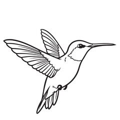 Obraz premium Hummingbird illustration in black and white, a simple and elegant vector graphic