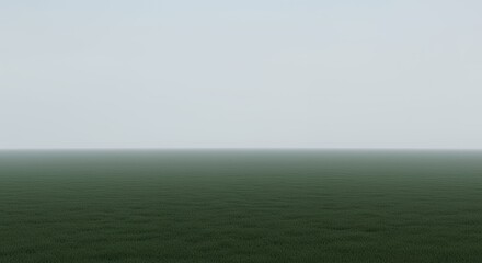 Minimalist Landscape with Green Grass and Gray Sky