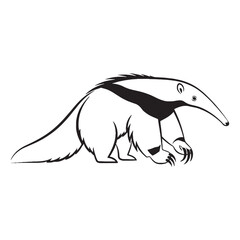 Crucial Anteater Rare Trait Cadence - Anteater vector - Anteater Line art - Anteater Drawing - Vector Lineart of Anteater - Anteater illustration - specific inherent visual characteristic

