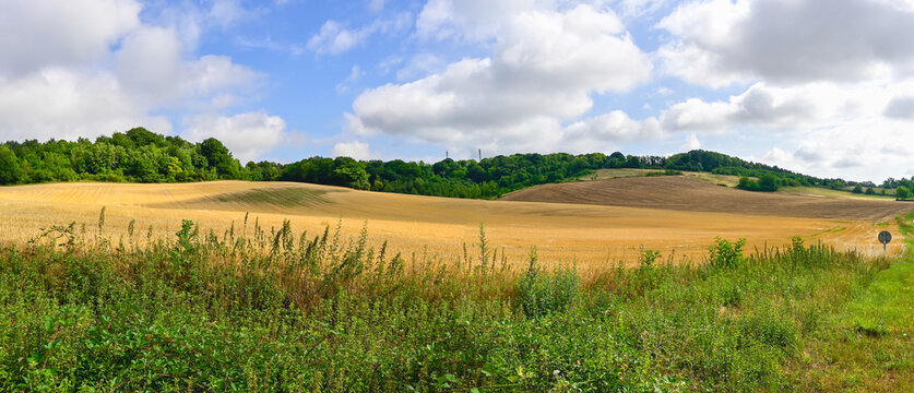 Panoramic photograph of a hilly landscape with grain fields, forests, and grass against a blue sky with clouds. Location: Laon, France.