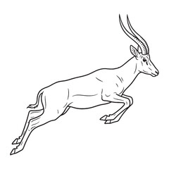 Broad Antelope Distinctive Character Scope - Antelope vector - Antelope Line art - Antelope Drawing - Vector Lineart of Antelope - Antelope icon - its universally recognized imposing visage

