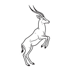 Crucial Antelope Rare Trait Cadence - Antelope vector - Antelope Line art - Antelope Drawing - Vector Lineart of Antelope - Antelope illustration - specific inherent visual characteristic

