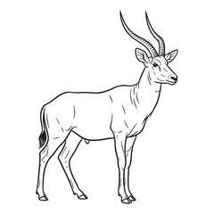 Slender Antelope Being Foundation - Antelope vector - Antelope Line art - Antelope Drawing - Vector Lineart of Antelope - Antelope icon - a timeless agile natural symbol

