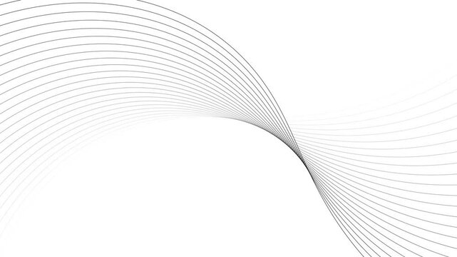 Abstract geometric rotate red line wave animation. White background 4k video.