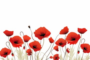 Obraz premium Red poppies create a beautiful summer field scene with white background