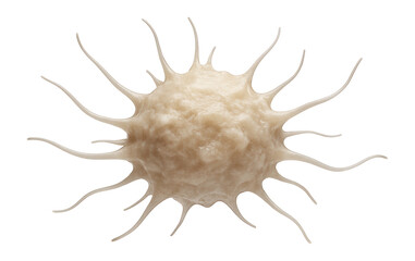 Detailed view of a macrophage with irregular shape and surface projections