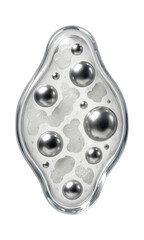 Apoptotic body with distinct membrane-bound vesicles and fragmented cytoplasm