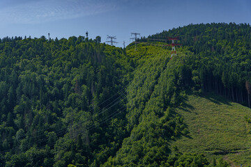 Fototapeta premium Power line running from a high forested mountain with red and white utility poles