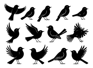 Bird Silhouettes A Collection of 15 Unique Bird Designs for T-Shirt Prints and More