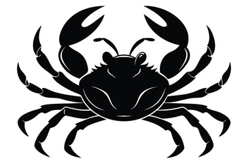 red crab on white background