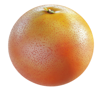 A large orange fruit with a stem