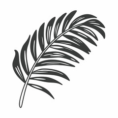 Fototapeta premium Tropical palm leave in sketch style, isolated vector illustration. Leave of palm tree in linear doodle style. Botanical minimalist print of exotic leave, sketch design. 