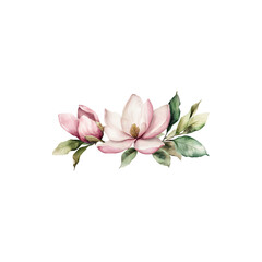 Obraz premium Pink lotus flower in full bloom with delicate petals and natural beauty isolated on white background