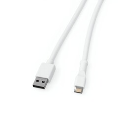 White USB Connection Adapter Cable with Detailed Connectors Isolated on White or Transparent Background
