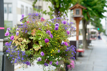 flowers pot hanging on the lamp post in the street in Japan